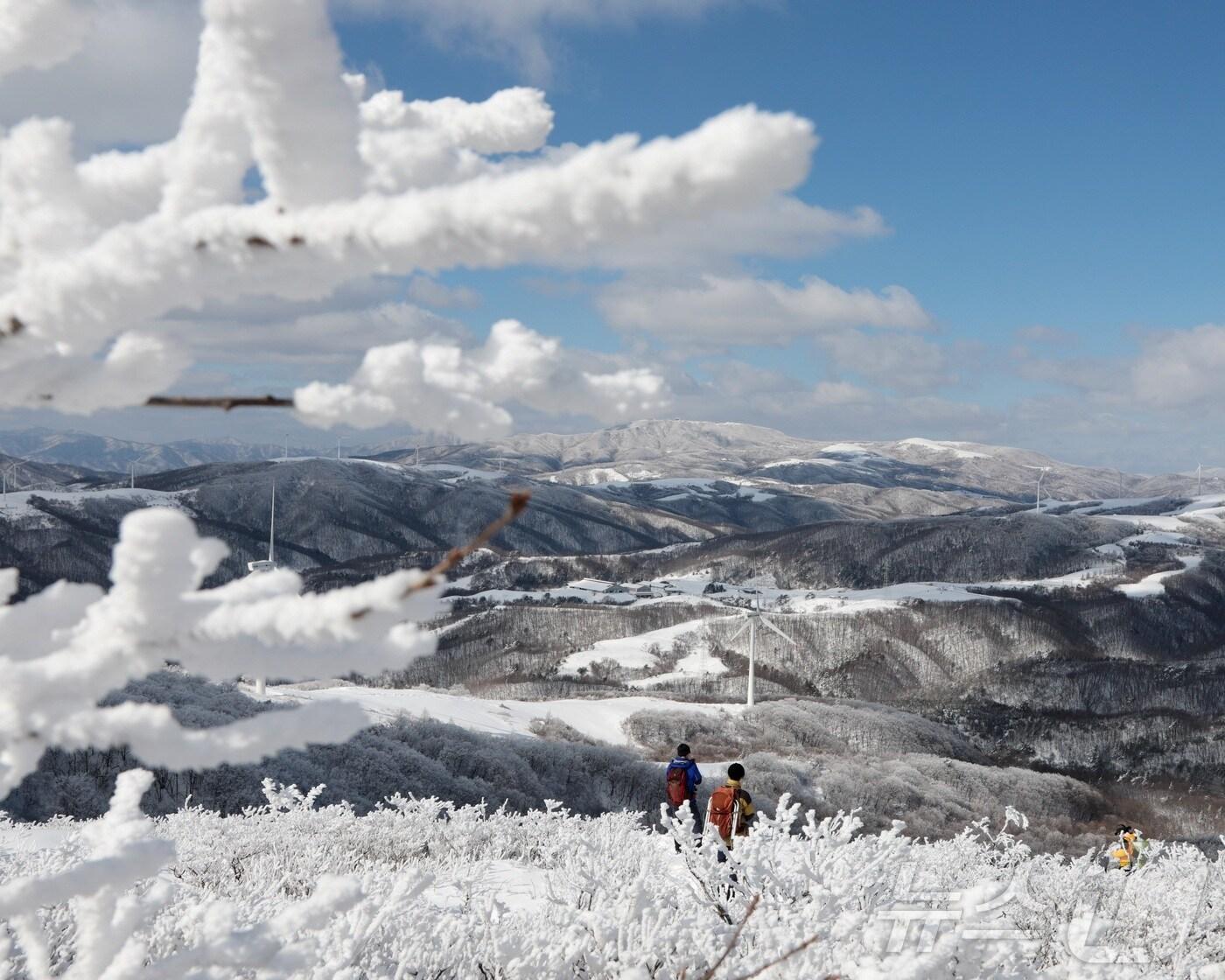 본문 이미지 - 강원 평창군 대관령 자료 사진. (평창군 제공) 2025.1.23/뉴스1