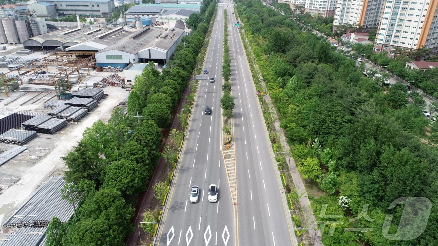 본문 이미지 - 광주 광산구 미세먼지차단숲(산림청 제공)/뉴스1