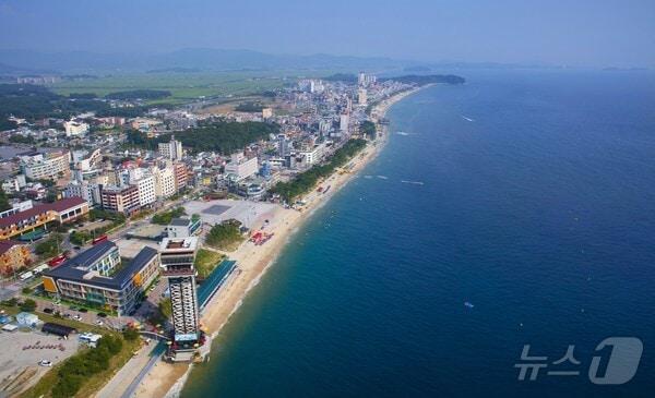 본문 이미지 - 보령 대천해수욕장. /뉴스1