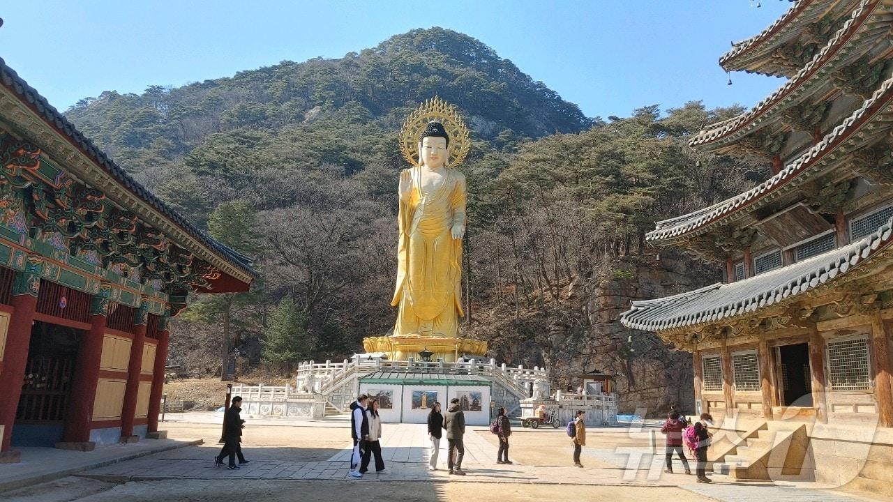 본문 이미지 - 보은 속리산 법주사 /뉴스1 장인수 기자