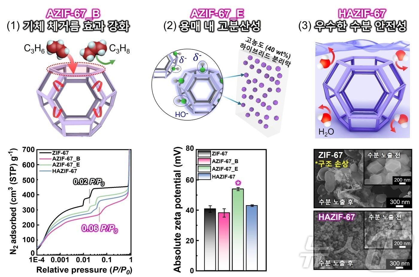 본문 이미지 - 코발트·알킬아민 구조 결함을 활용한 기공 구조 제어 및 표면 특성 변화 모식도. (서강대 제공)/뉴스1