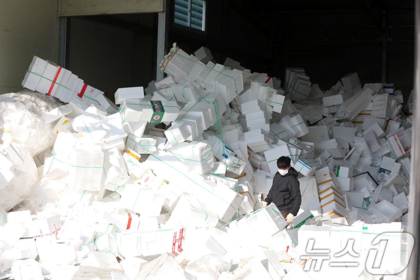 24일 오후 광주 북구 월출동의 한 재활용품 선별장에서 직원들이 명절 앞두고 쌓여 있는 스티로폼 박스에 붙은 테이프를 제거하고 있다. 2025.1.24/뉴스1 ⓒ News1 박지현 기자