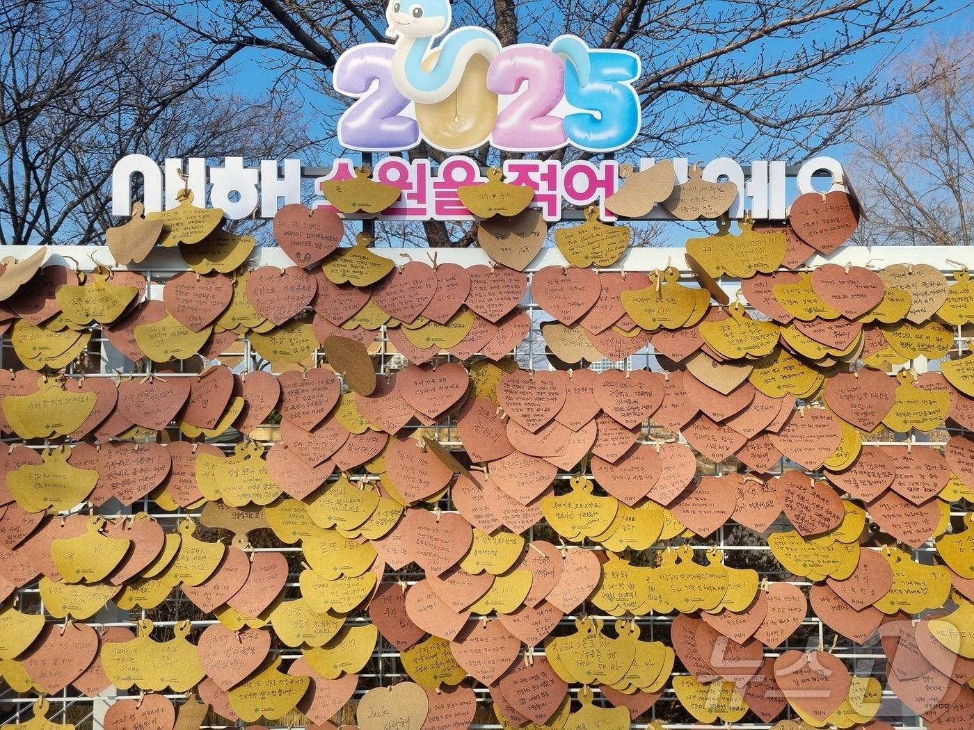 본문 이미지 - 경산시 공원 등에 설치된 소원성취대에 시민들의 소원지가 빼곡히 걸려 있다. (경산시 제공) 2025.1.24/뉴스1