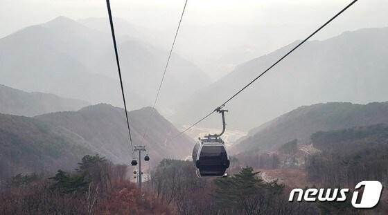 본문 이미지 - 강원 정선군 가리왕산 케이블카. (뉴스1 DB)