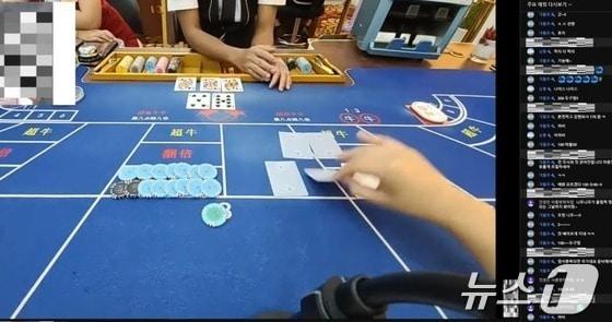 본문 이미지 - 원격 도박 유튜브 생중계. /뉴스1