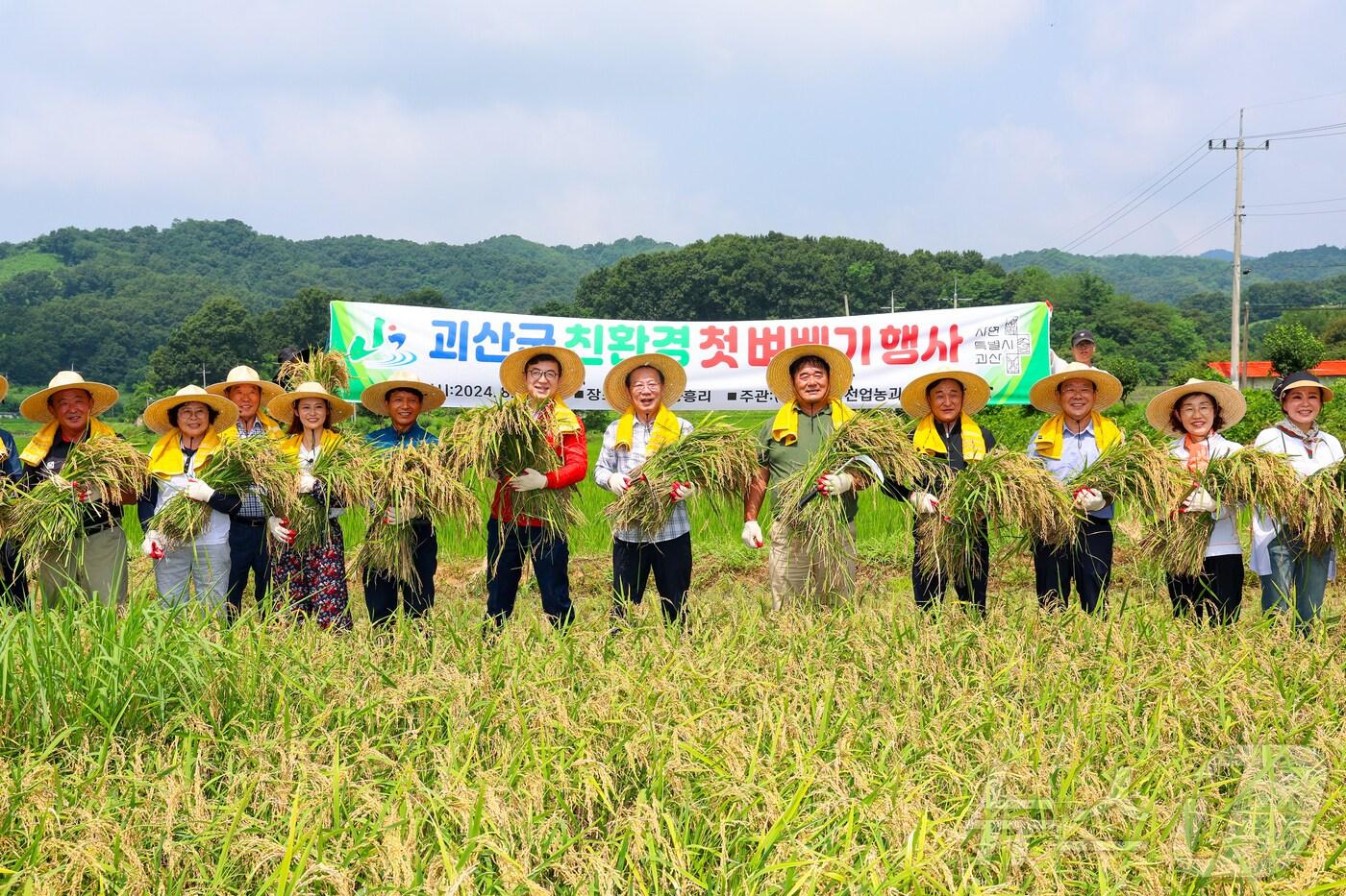 괴산군 친환경 벼 베기 작업 모습/뉴스1