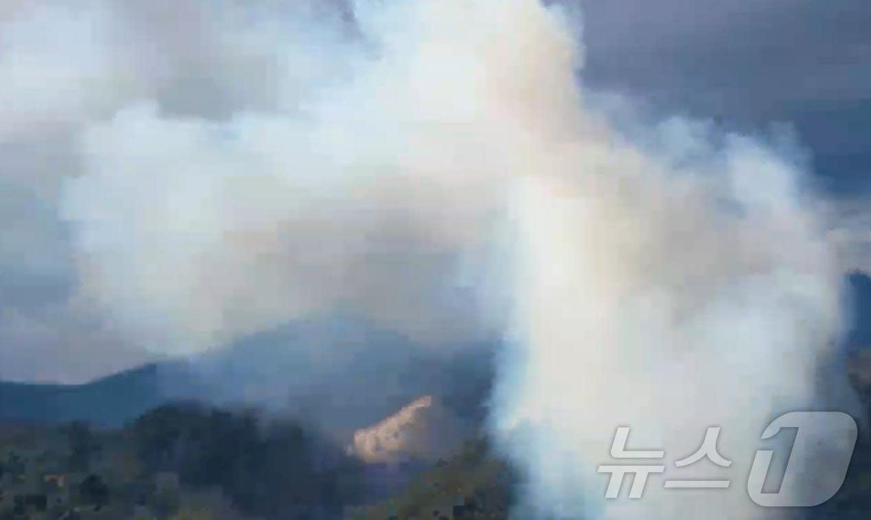 본문 이미지 - 25일 오전 11시 57분쯤 대구 동구 백안동의 한 야산에서 원인을 알 수 없는 불이나 1시간 33분만에 꺼졌다. (산림청 제공) 2025.1.25/뉴스1