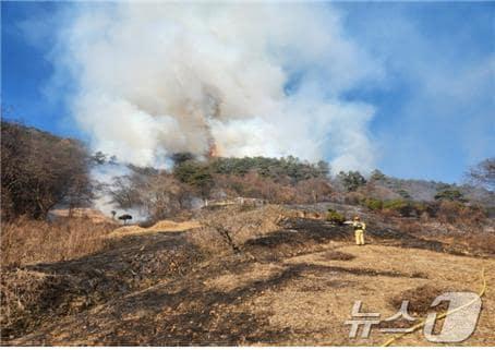 본문 이미지 - 전남 장성군의 한 야산에서 산불이 나 연기가 치솟아 오르고 있다.(산림청 제공) 2025.1.25