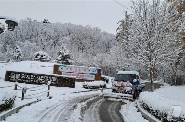 본문 이미지 - 국립아세안 휴양림 제설 작업 모습 (자료사진) (산림청 제공)/뉴스1