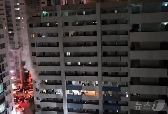 본문 이미지 - 독자제공