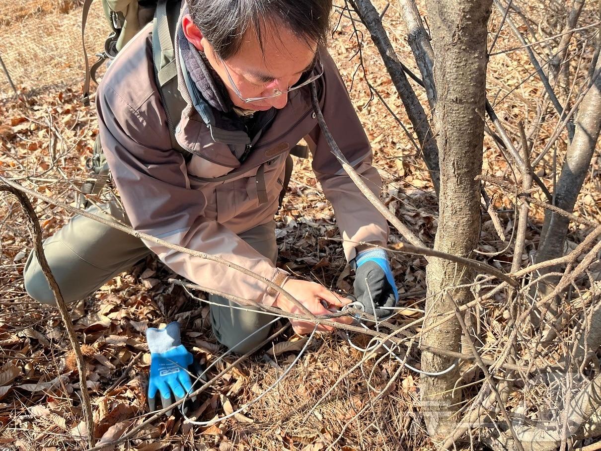 본문 이미지 - 국립공원공단 속리산국립공원사무소 밀렵행위 예방 활동 장면 &#40;속리산국립공원사무소 제공&#41; /뉴스1