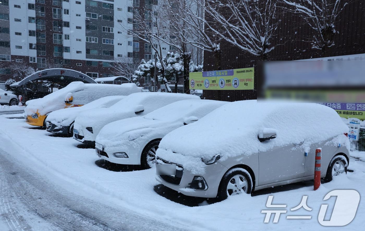광주 광산구 한 아파트에 눈이 밤사이 내려 쏘복하게 쌓여있다.2025.1.29/뉴스1 ⓒ News1 김태성 기자
