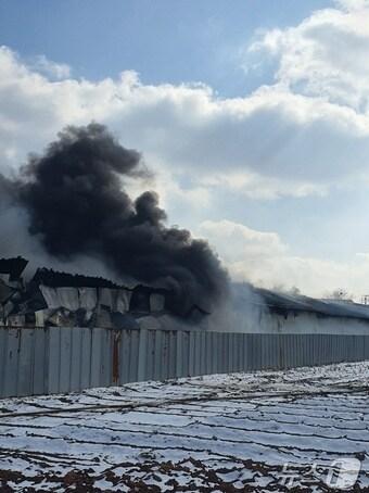 본문 이미지 - 화재가 발생한 축사(김포소방서 제공) / 뉴스1