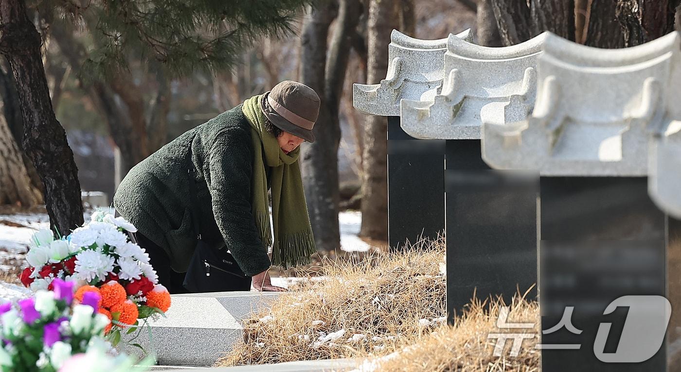 본문 이미지 - 성묘객(사진은 기사 내용과 무관함) / 뉴스1 ⓒ News1