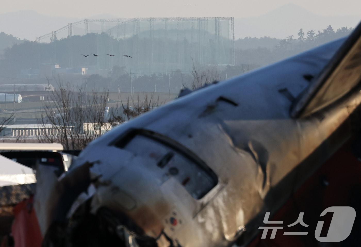 본문 이미지 - 전남 무안국제공항 참사 현장 위로 철새가 날고 있다. 무안공항 주변은 88종의 조류가 출현하는 철새 도래지로, 청둥오리 등 6종 조류 충돌 위험성 분석 결과 '3단계 위험 수준'으로 꼽힌다. 2025.1.3 ⓒ 뉴스1 오대일 기자