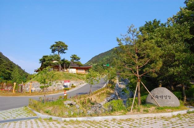 본문 이미지 - 성불산 자연휴양림.(괴산군 제공)/뉴스1