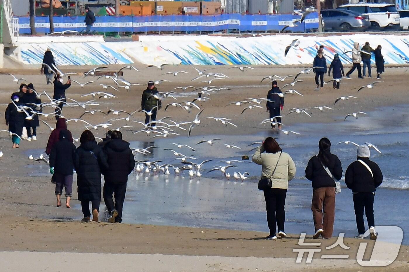 설연휴 마지막날인 30일 경북 포항시 북구 영일대해수욕장에서 관광객들이 연휴 마지막 날을 즐기고 있다. 2025.1.30/뉴스1 ⓒ News1 최창호 기자