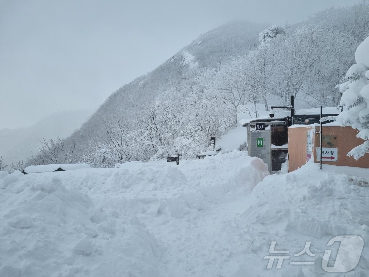 본문 이미지 - 31일 전북 무주군 덕유산 삿갓재 대피소에는 26일부터 내린 눈으로 109cm가량의 눈이 쌓였다.&#40;국립공원관리공단제공&#41;2025.1.31/뉴스1 ⓒ News1 김동규 기자
