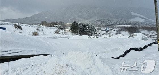본문 이미지 - 설 연휴 내린 폭설로 붕괴된 전북자치도 진안군 백운면 소재 한 오리 축사 모습.(전북자치도 제공)/뉴스1