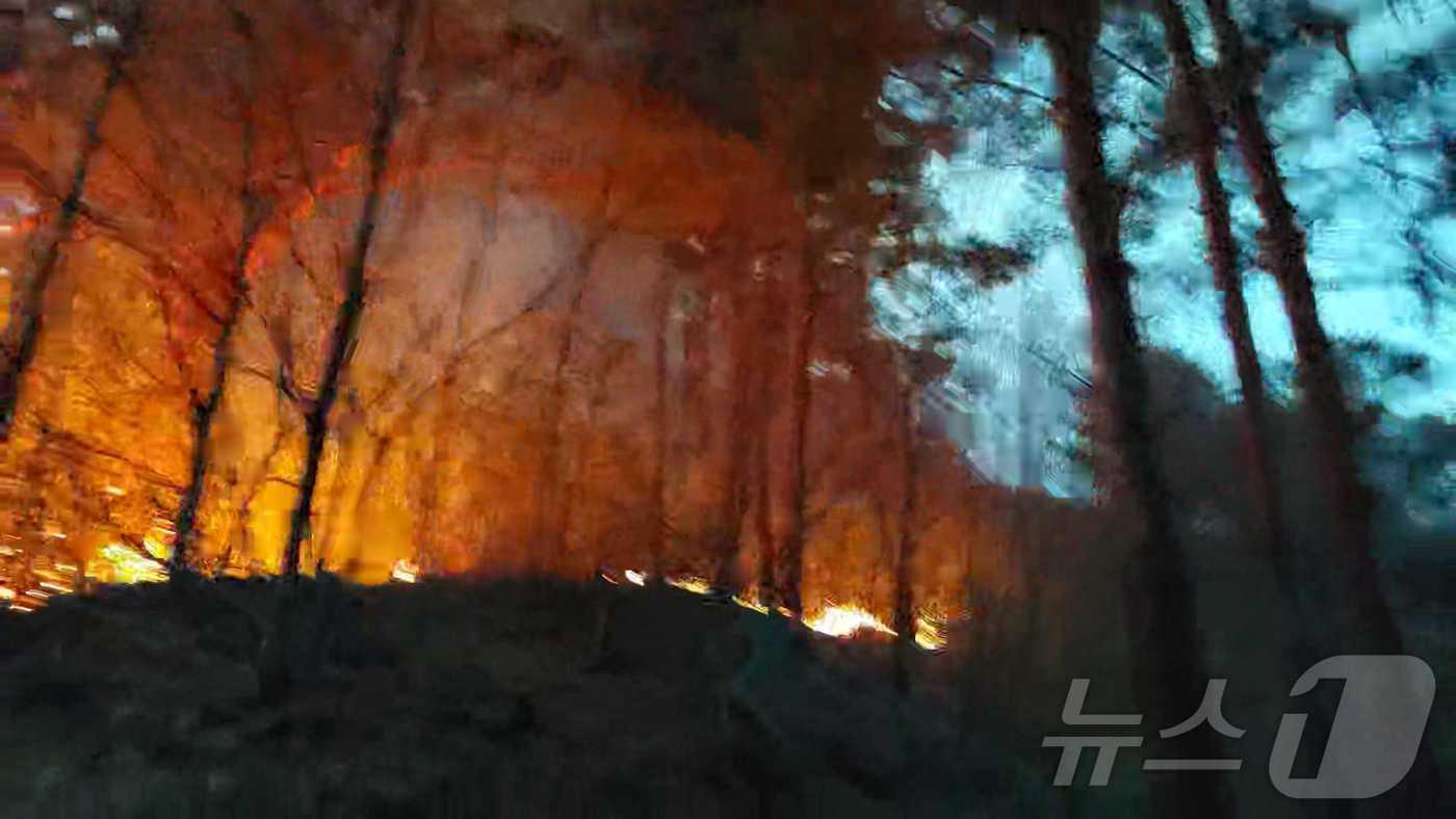 강원 삼척 원덕읍 이천리 산불 현장.(강원도소방본부 제공)