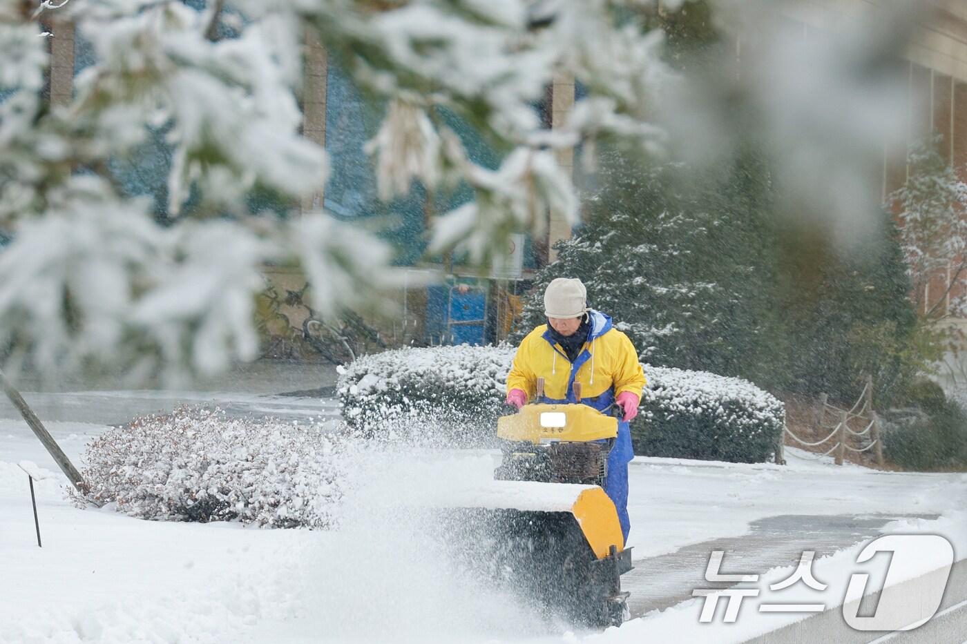 자료 사진. /뉴스1 ⓒ News1 안은나 기자