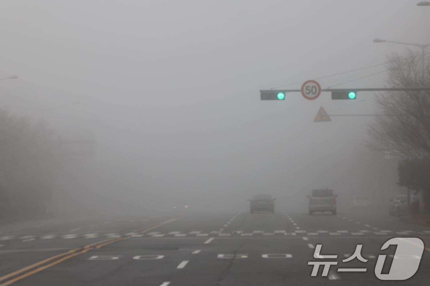 200m 미만의 짙은 안개&#40;사진은 기사 내용과 무관함&#41; / 뉴스1 ⓒ News1