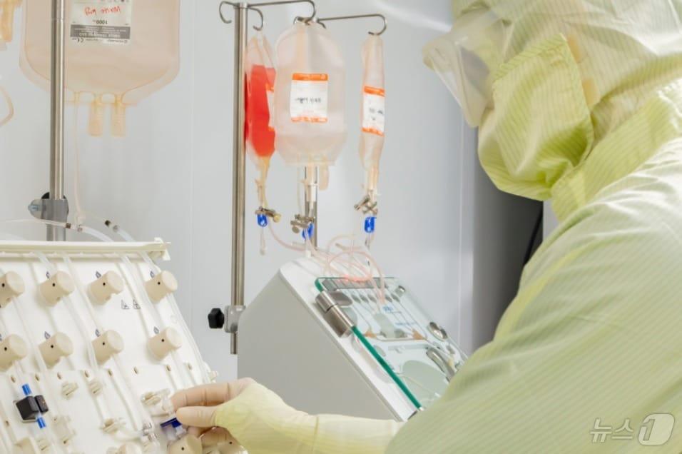 본문 이미지 - 이엔셀 관계자가 세포유전자 치료제를 연구하고 있다.(이엔셀 제공)/뉴스1