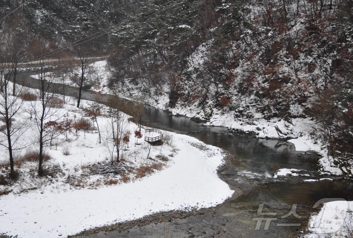 본문 이미지 - 강원 동강 유역&#40;환경부 제공&#41;ⓒ 뉴스1