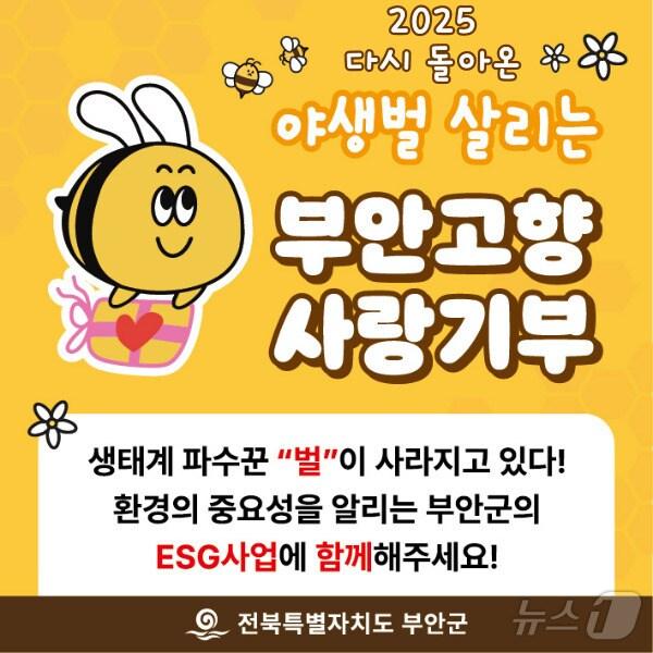 본문 이미지 -  부안군 고향사랑기부제 지정기부 사업 ‘야생벌 붕붕이를 지켜주세요’(부안군 제공)2025.1.6/뉴스1