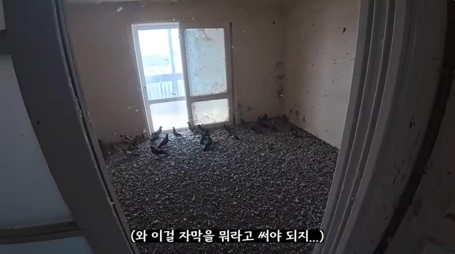 본문 이미지 - (유튜브 채널 '생존' 갈무리)