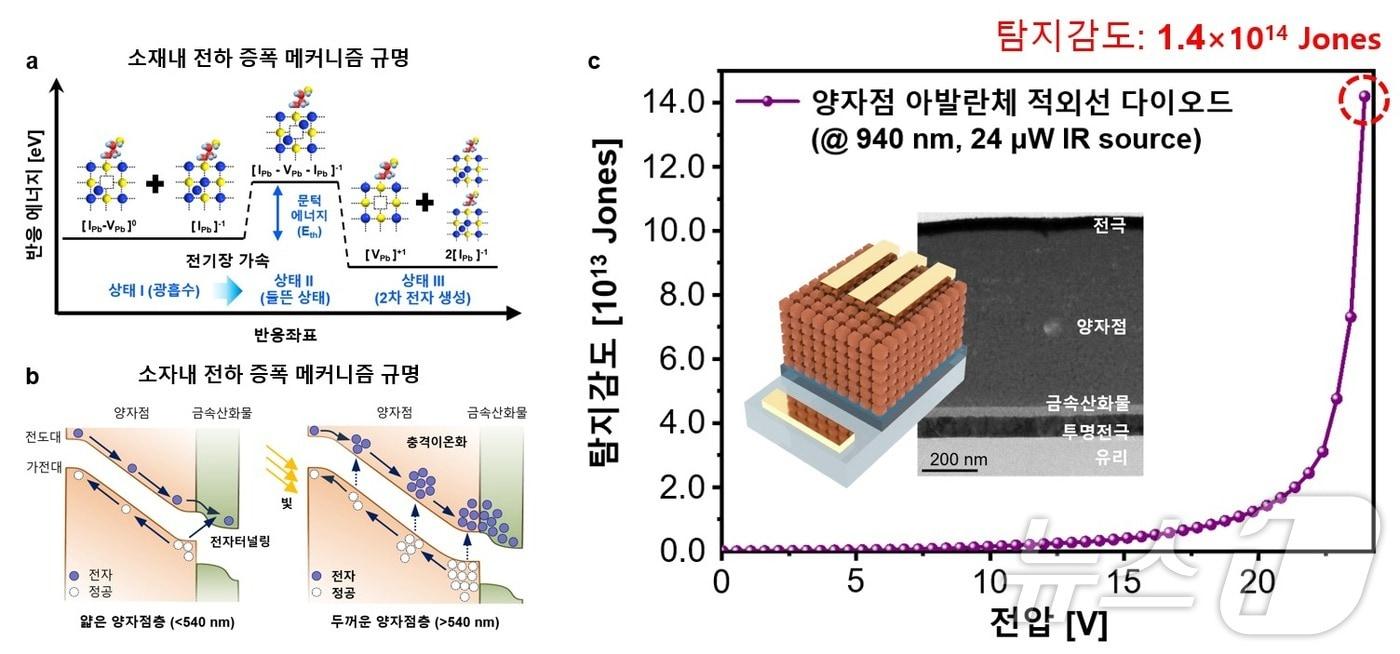 본문 이미지 - 양자점 소재 및 소자에서의 아발란체 전하 증폭 메커니즘 개요도.(KAIST 제공)/뉴스1