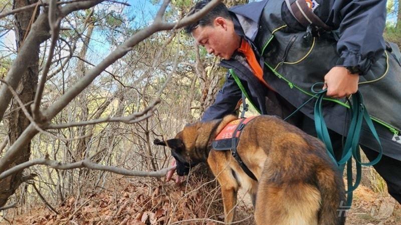 본문 이미지 - 구조견이 훈련을 하는 모습. (소방청 제공)ⓒ 뉴스1