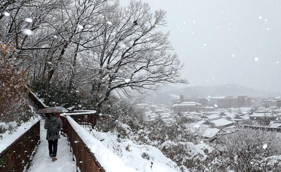 본문 이미지 - 전북자치도 전주시 한옥마을 오목대 산책로에서 시민들이 눈을 맞으며 산책을 하고 있다. 2025.1.8/뉴스1 ⓒ News1 유경석 기자
