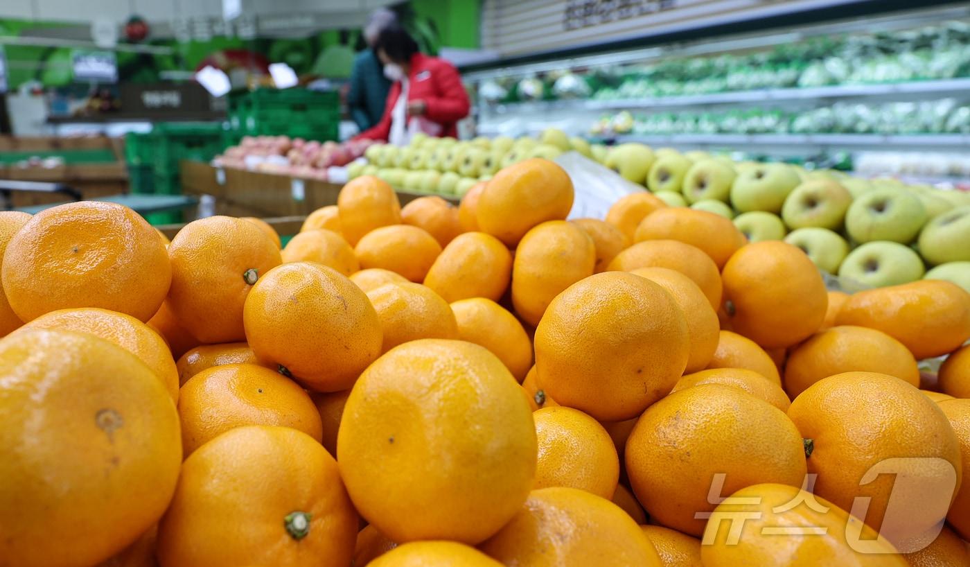 서울시의 한 대형마트에서 시민들이 천혜향 등 과일을 살펴보고 있다.2025.1.8/뉴스1 ⓒ News1 김도우 기자