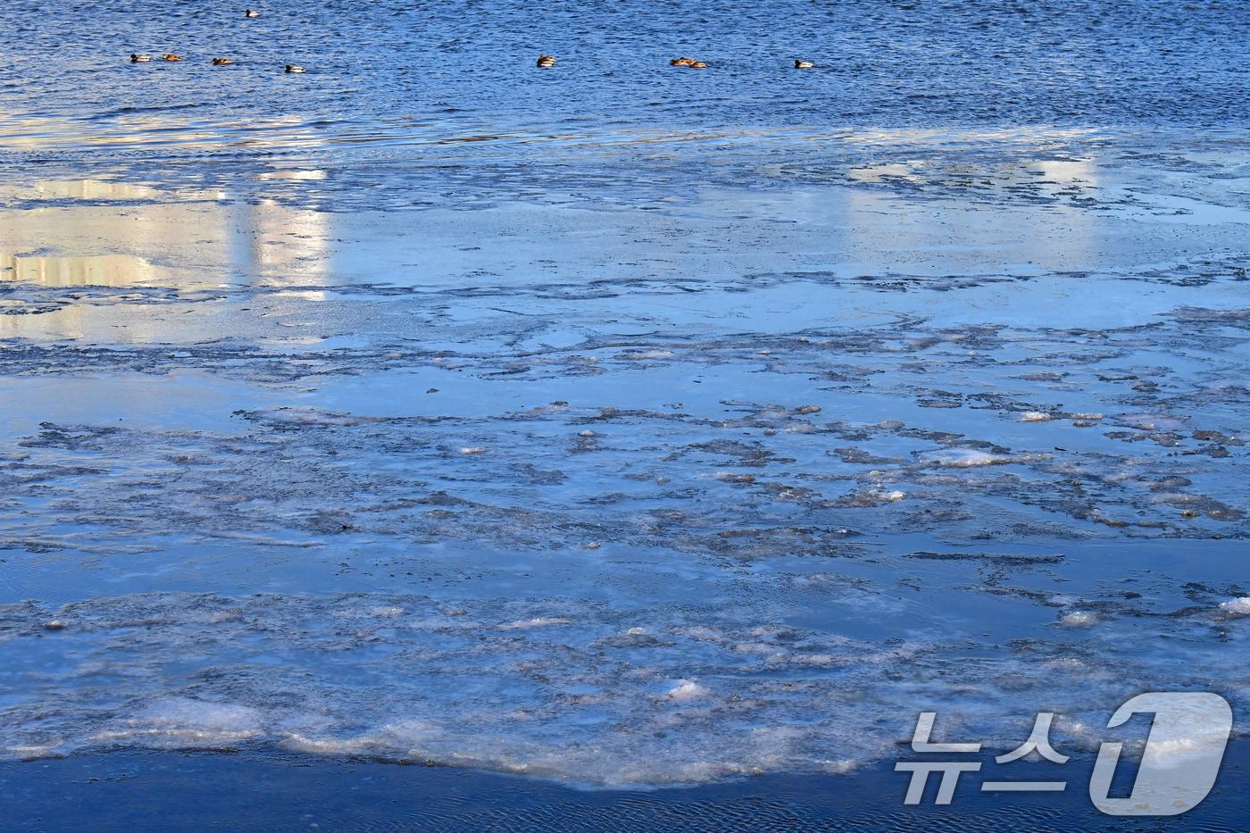 경북 포항시 남구 연일읍 형산강 상류 일부 구간ⓒ News1 최창호 기자