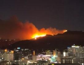 본문 이미지 - 8일(현지시간) 미국 캘리포니아주 로스앤젤레스(LA) 할리우드 힐즈 러니언 캐니언에서 발생한 6번째 산불. (사진은 X(옛 트위터) 영상 갈무리)