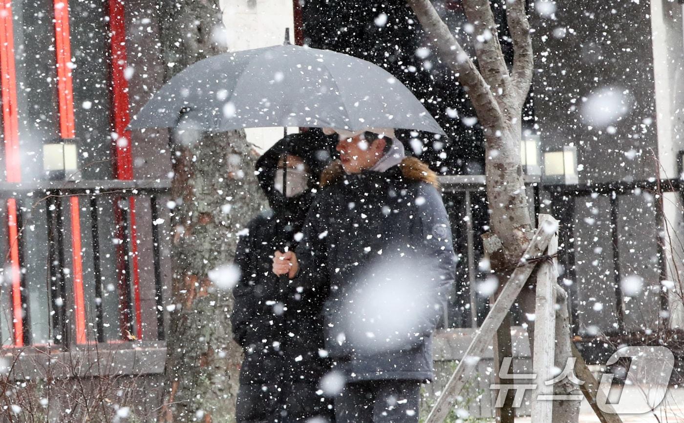 올겨울 들어 가장 추운 날씨를 보이고 있는 9일 오후 제주시 노형동에 눈이 내리고 있다. 2025.1.9/뉴스1 ⓒ News1 오현지 기자
