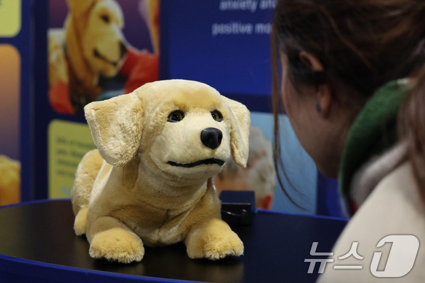 본문 이미지 - 세계 최대 정보기술(IT)·가전 전시회 'CES 2025’ 둘째 날인 8일(현지시간) 미국 네바다주 라스베이거스 베네시안 엑스포에 마련된 땡땡 브레인유 전시관에 마련된 톰봇 전시관에서 관람객이 치매 환자를 위한 반려동물 로봇 '제니'를 살펴보고 있다. (사진은 기사 내용과 무관함) 2025.1.9 ⓒ 뉴스1 신웅수 기자
