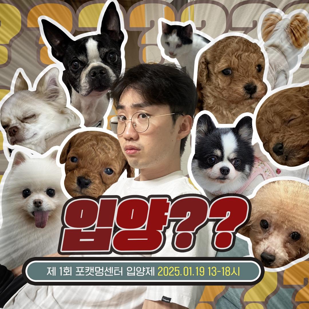 본문 이미지 - 보호동물 위한 바자회&입양제(포켓멍스터 제공) ⓒ 뉴스1