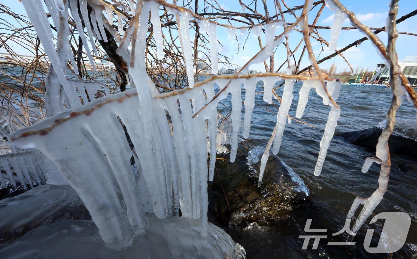 올 겨울 최강 한파를 보여준 9일 서울 여의도 한강변에서 고드름이 열려 있다. 2024.1.9/뉴스1 ⓒ News1 김명섭 기자