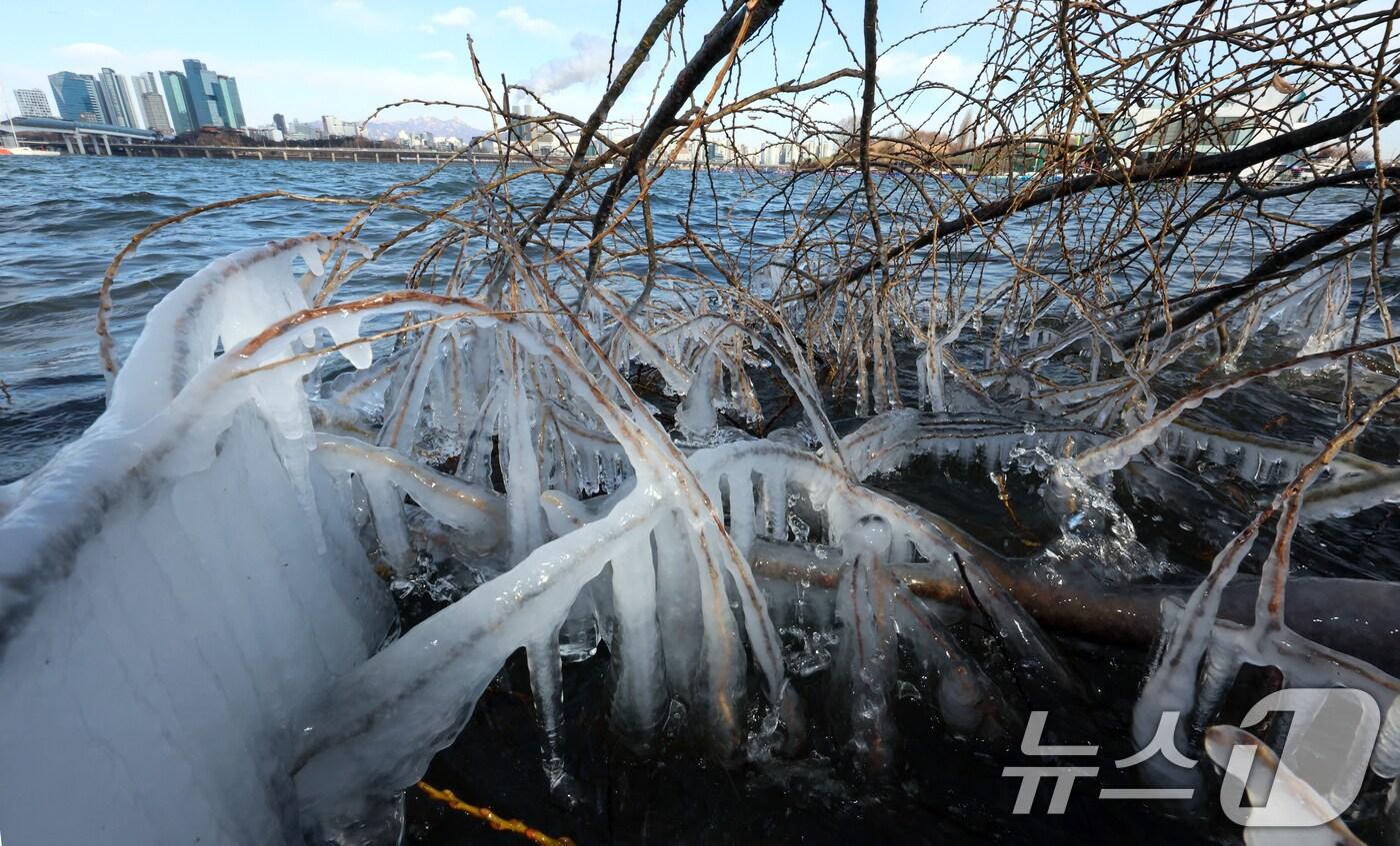 올 겨울 최강 한파를 보여준 지난 9일 서울 여의도 한강변에서 고드름이 열려 있다. 2024.1.9/뉴스1 ⓒ News1 김명섭 기자