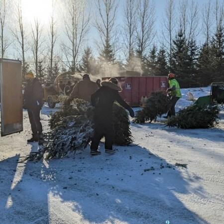 본문 이미지 - 지역 어린이 지원을 위한 기금을 모으기 위해 크리스마스 트리를 수거하는 &#39;Trees for Tots&#39; 프로그램 모습. 2025.01.08/&lt;출처: Trees for Tots홈페이지&gt;