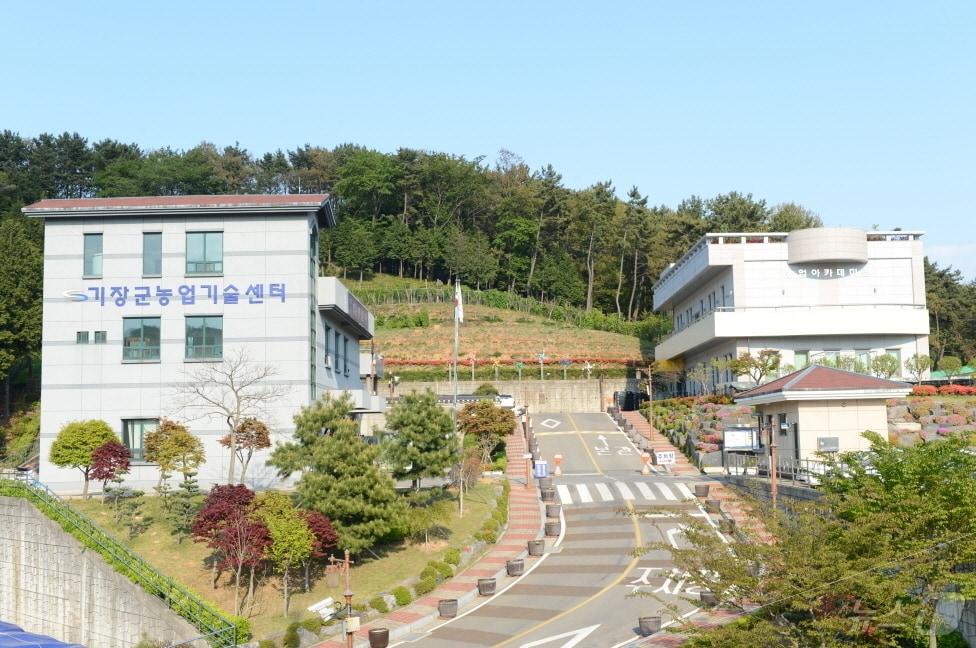 본문 이미지 - 기장군 농업기술센터 전경&#40;기장군청 제공&#41;