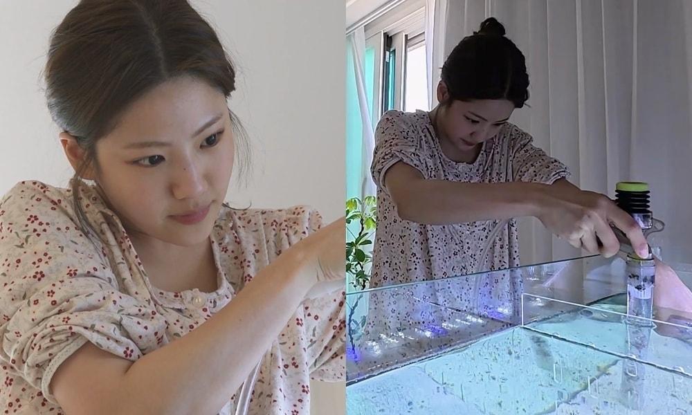 본문 이미지 - MBC