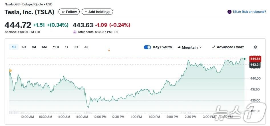 본문 이미지 - 테슬라 일일 주가추이 - 야후 파이낸스 갈무리