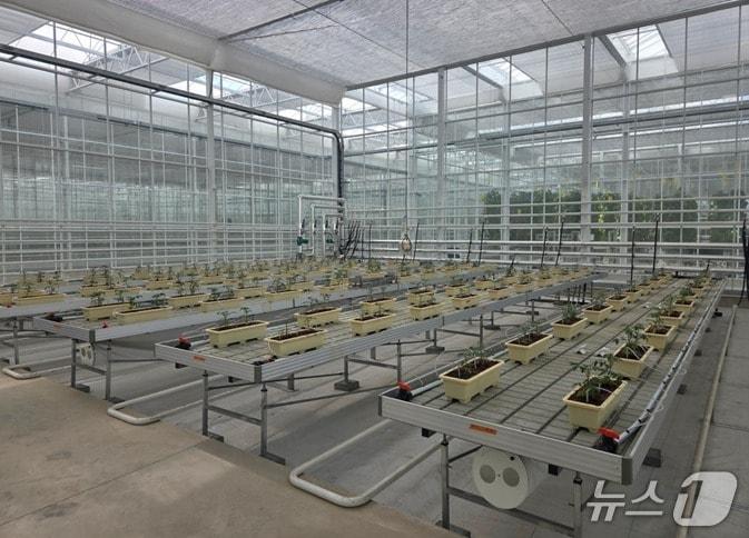 본문 이미지 - 소형 DAC 설비 실증이 이뤄지고 있는 경상북도 상주 스마트팜혁신밸리 내에 위치한 에코프로에이치엔의 온실 모습. (에코프로에이치엔 제공) 