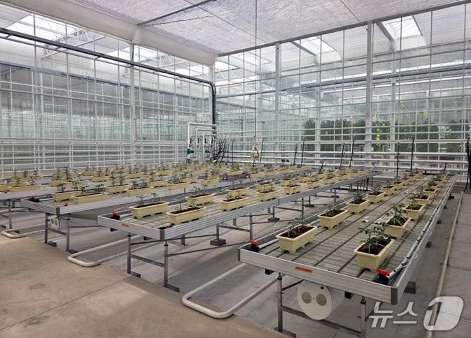 본문 이미지 - 소형 DAC 설비 실증이 이뤄지고 있는 온실 모습(화학연 제공) /뉴스1