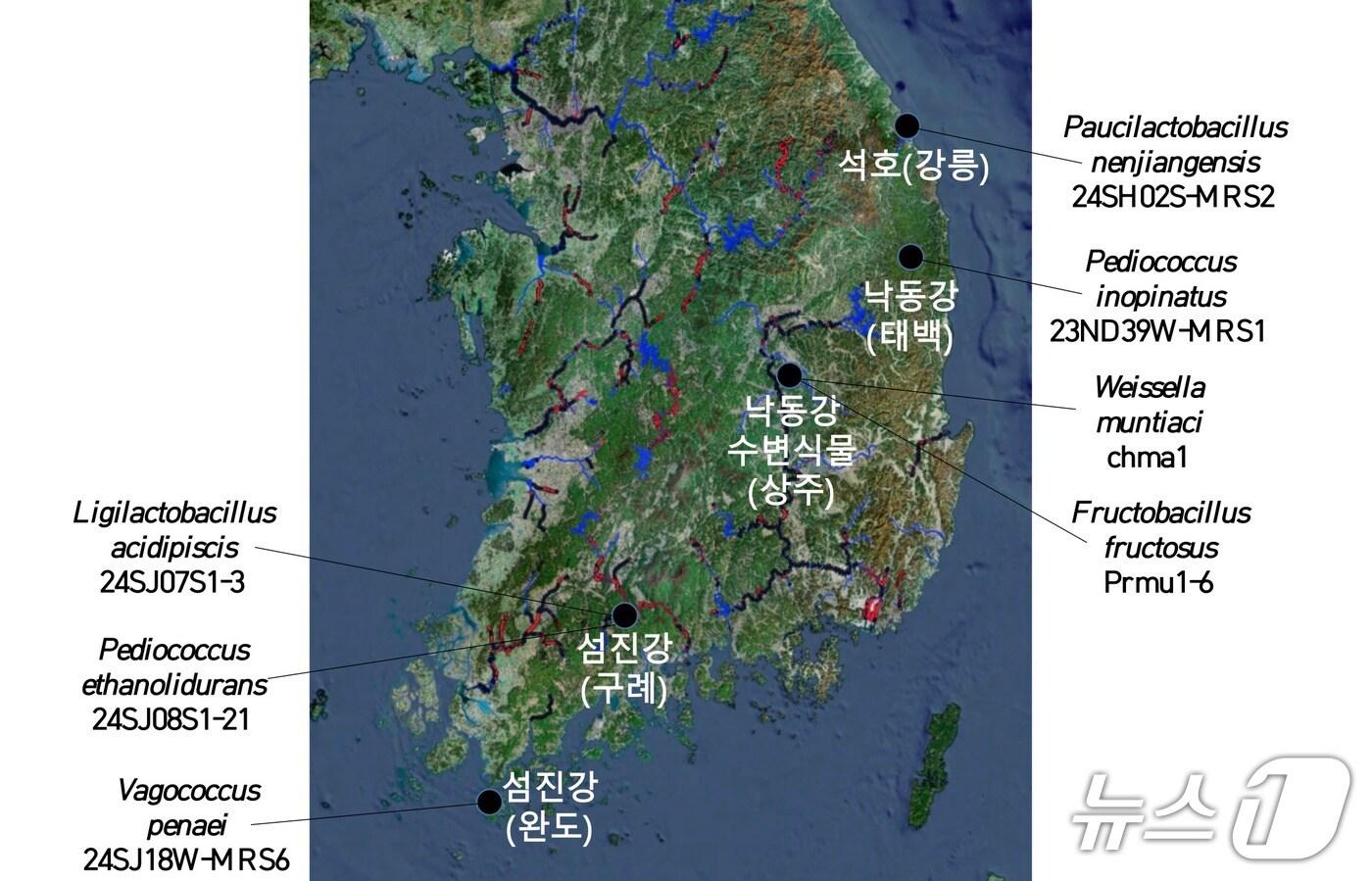 신규 국내 미기록 유산균 7종의 분리 위치(기후부 제공) ⓒ 뉴스1