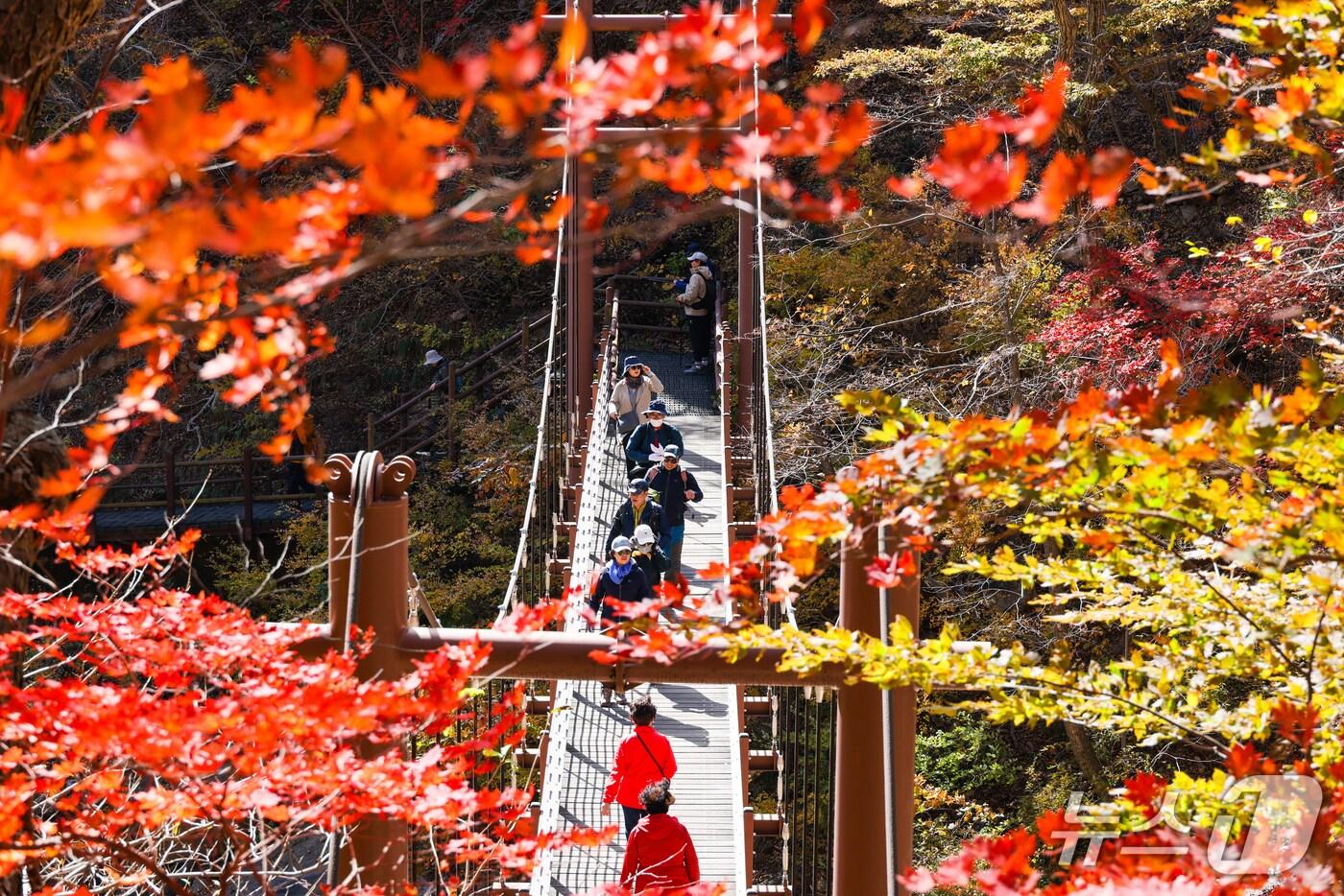 지난해 오색령 단풍사진.&#40;양양군 제공, 재판매 및 DB 금지&#41; 2025.10.1/뉴스1