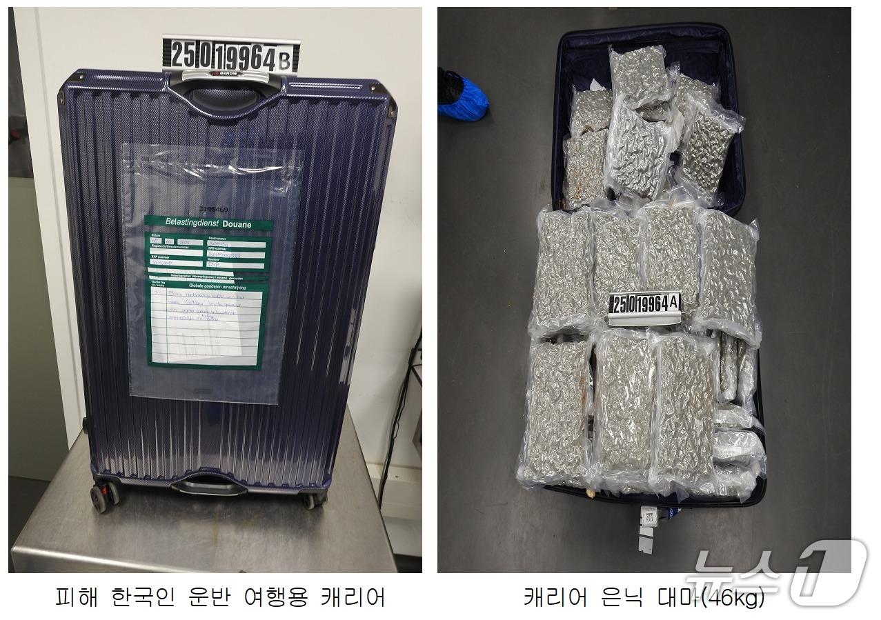 본문 이미지 - 국가정보원 국제범죄정보센터가 공개한 피해자가 운반한 캐리어와 캐리어 안에 들어 있던 대마.(국정원 제공).
